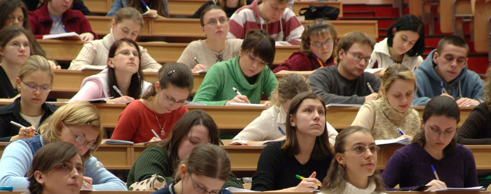 智能办公必备的手机版ddos攻击器